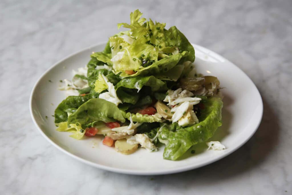 Fresh green salad with lettuce, chopped vegetables, and shredded chicken served on a white plate, showcasing a healthy and vibrant dish ideal for light meals or appetizers.