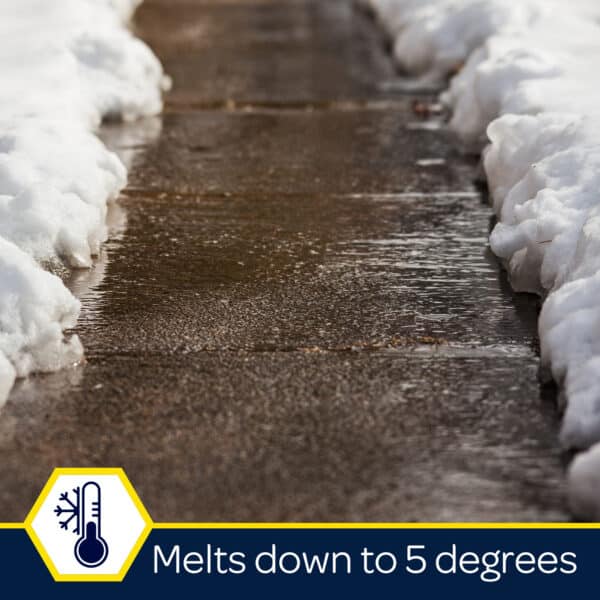 Snow melting along a wet sidewalk, indicating temperatures dropping to 5 degrees Fahrenheit.