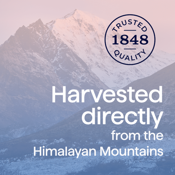 Image showcasing the majestic Himalayan Mountains with a clear peak, featuring text that emphasizes quality and direct harvesting since 1848. Ideal for promoting natural products sourced from this pristine location.