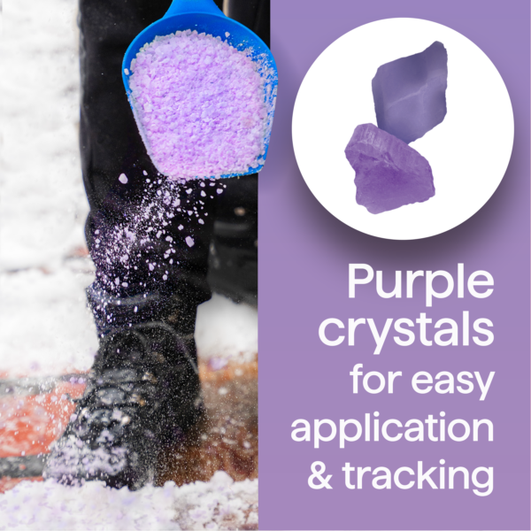 Person shoveling purple crystals onto snow-covered ground, highlighting their easy application and visibility for effective tracking.