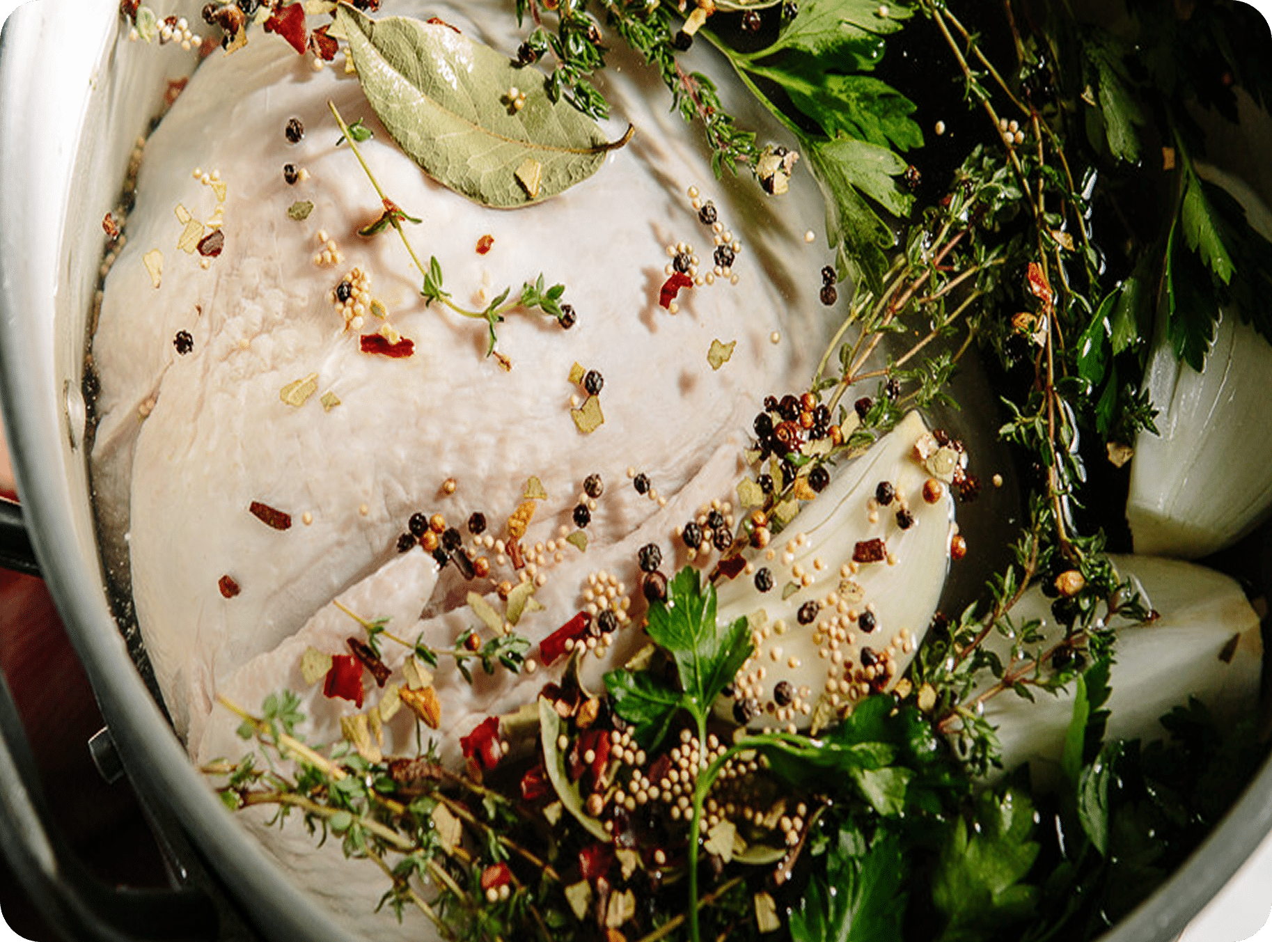 Raw chicken breast submerged in a pot with herbs and spices, including bay leaves, parsley, thyme, and various peppercorns, ready for cooking.