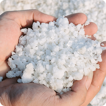 Close-up of hands holding coarse sea salt, showcasing its crystalline texture and white color, with a blurred background of more salt. Ideal for culinary, health, or natural product contexts.