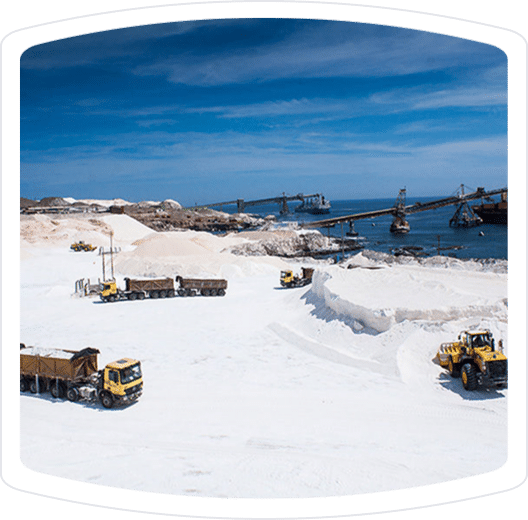 Industrial site with heavy machinery and trucks transporting white mineral deposits near a coastline, showcasing a busy operation in mineral extraction and processing.