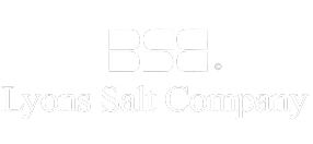 Lyons Salt Company logo featuring the brand name in bold white text on a black background, representing a reputable salt production company.