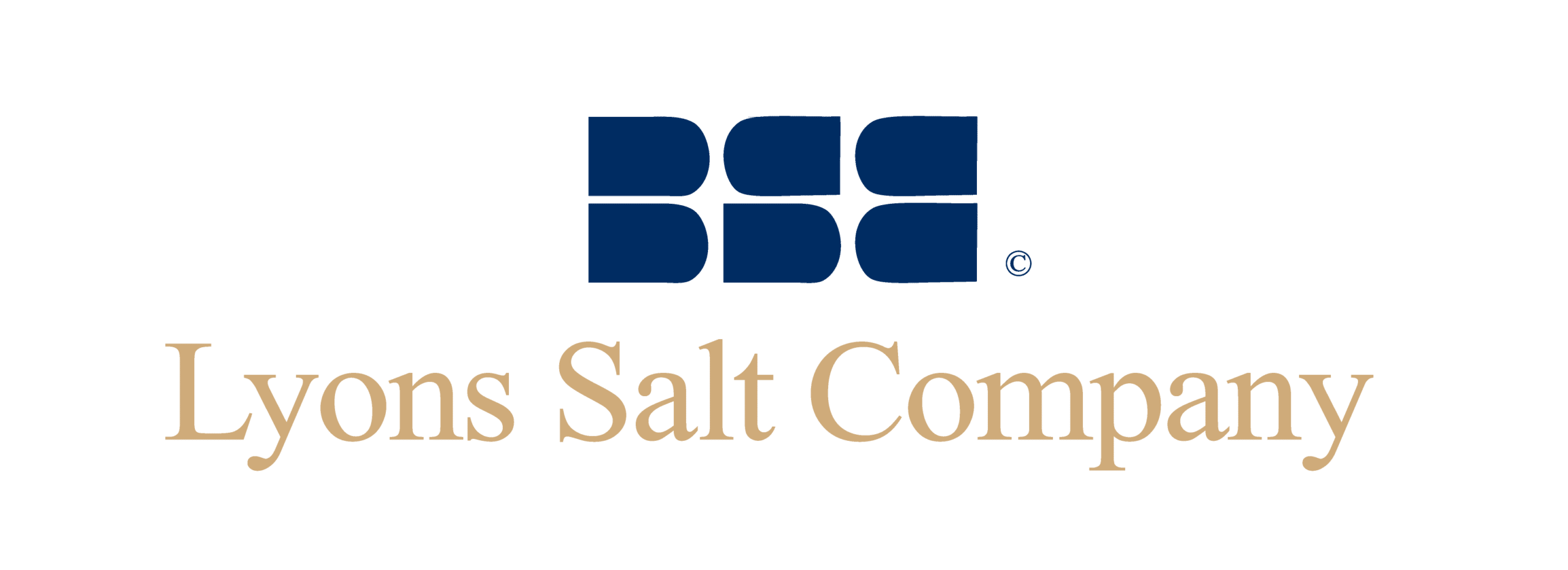 Lyons Salt Company logo featuring a modern design with blue and gold colors, representing a reputable brand in the salt industry.