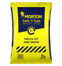 Can I use table salt to salt my driveway ice and snow morton's salt?