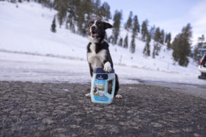 MORTON SALT UNLEASHES OFFICIAL “BARK TO ACTION” WITH NEW PET SAFETY CAMPAIGN