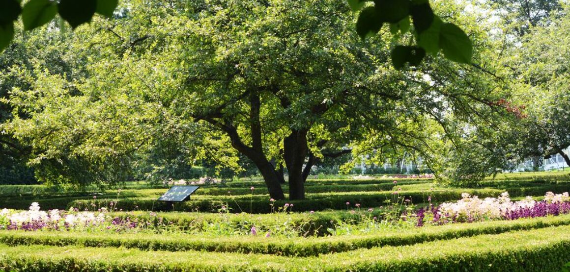 Hedge Garden at The Morton Arboretum (2014)