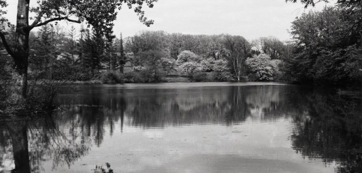 Lake Marmo looking north (Late 1940s)