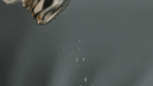Salt Shaker