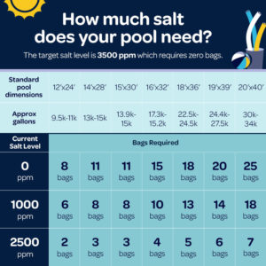 Salt Water Pool Maintenance 1