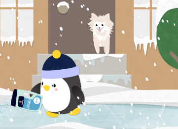 Protect Your Pets This Winter